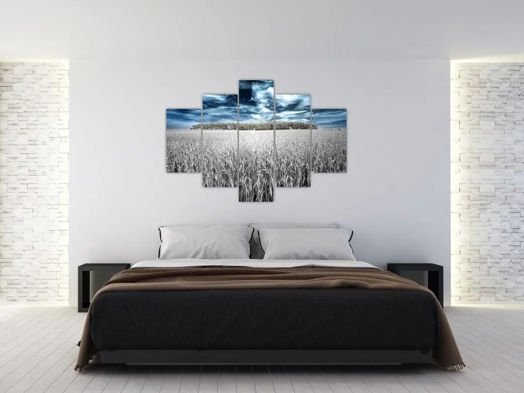 Tablou cu câmp (150x105 cm)