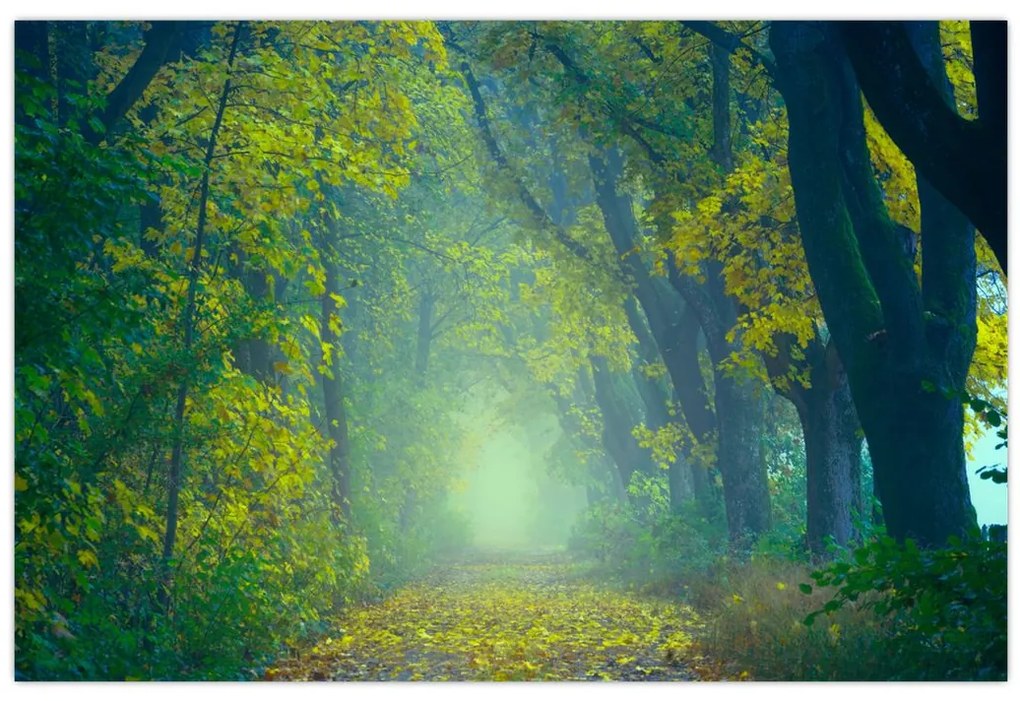 Tablou cu drum dea lungul cu copaci (90x60 cm)