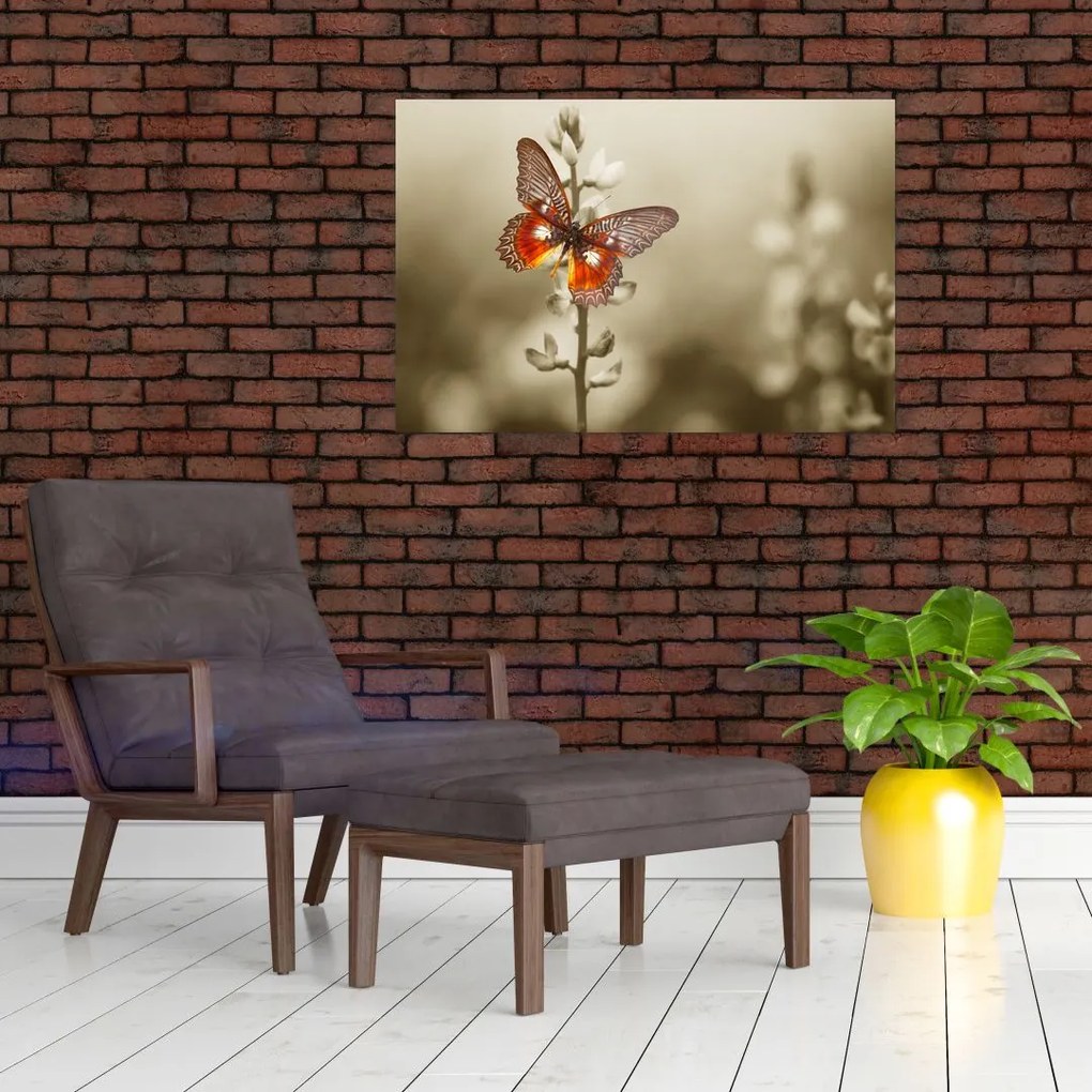 Tablou cu fluture (90x60 cm)