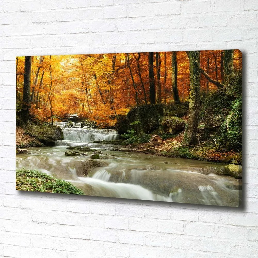Tablou canvas Cascada din pădure