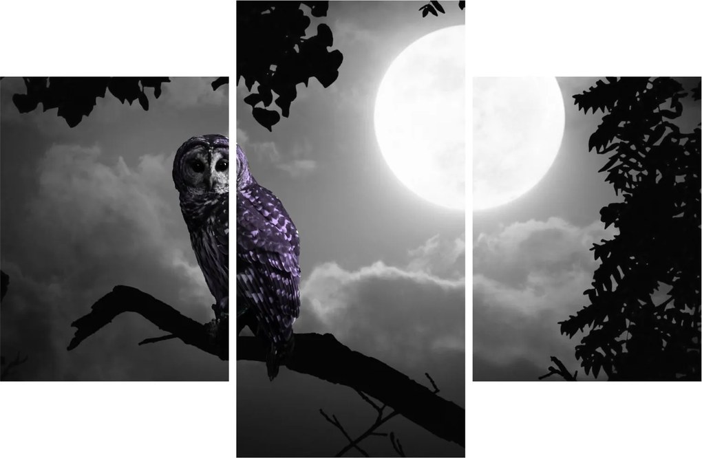 Tablou - Bufniță de noapte, bufniță mov (90x60 cm)