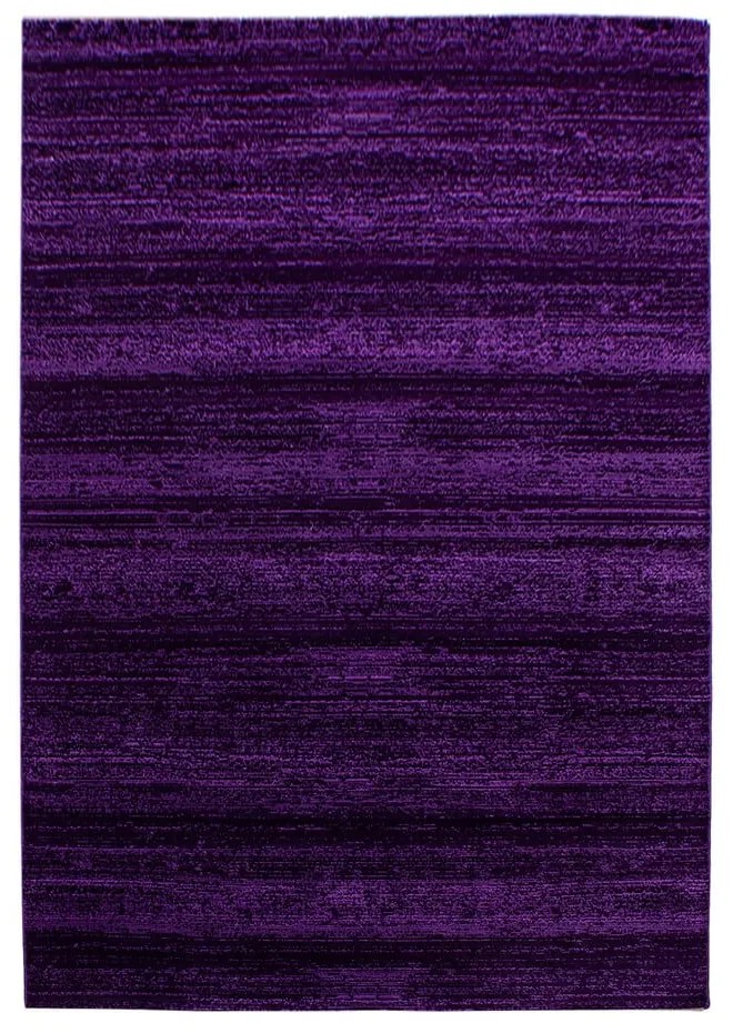 Covor violet 140x200 cm Plus – Ayyildiz Carpets