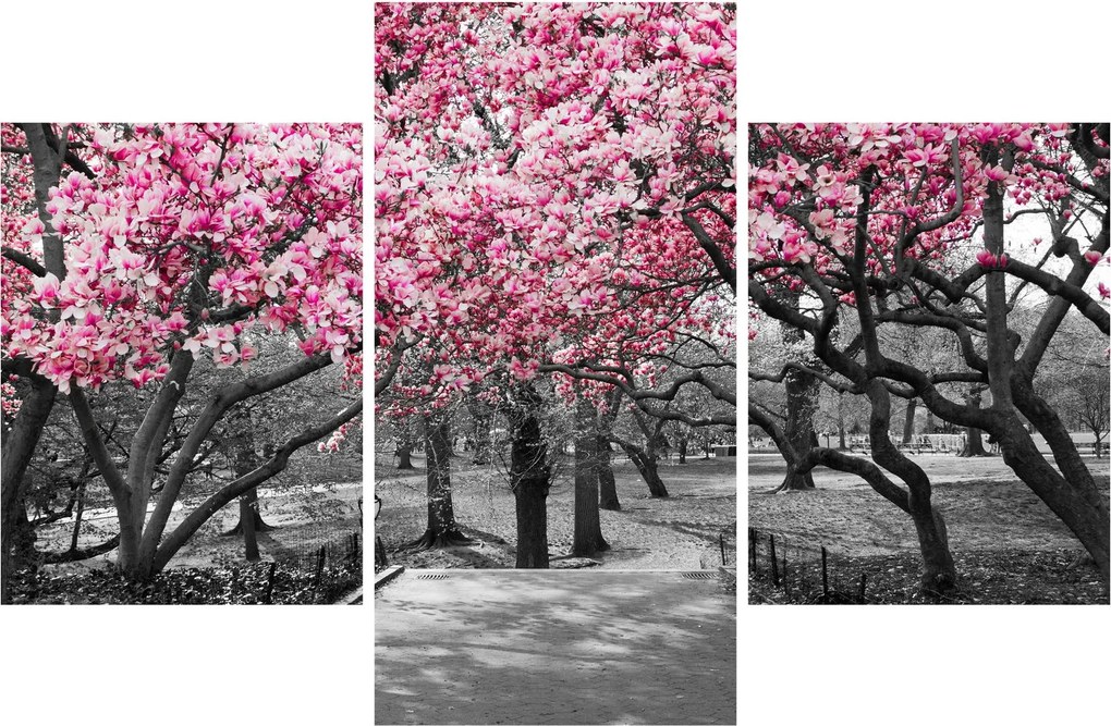 Tablou copacului magnolie (90x60 cm)