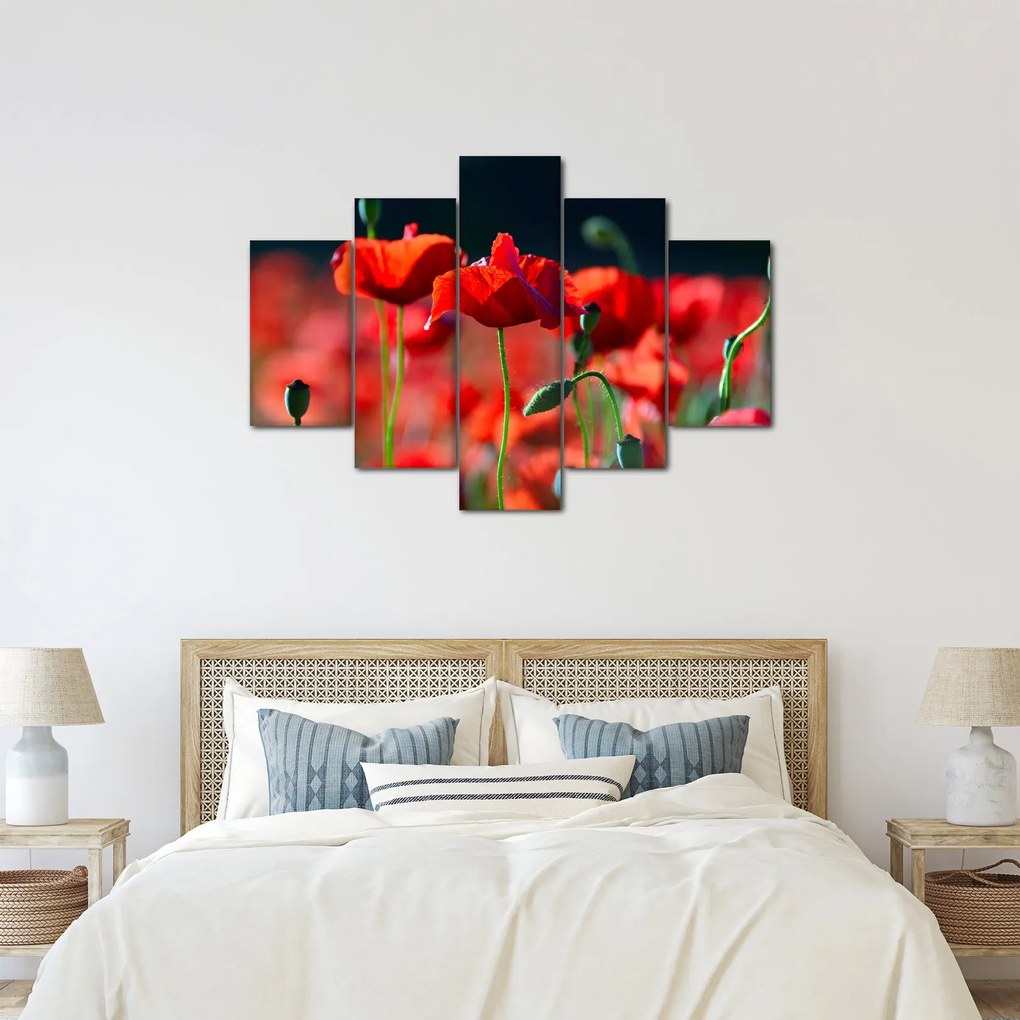 Tablou - flori de maci (150x105 cm)