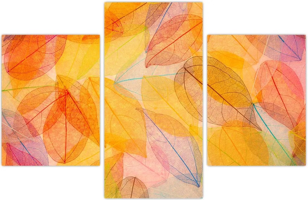 Tablou - Fundal frunze de toamnă (90x60 cm)
