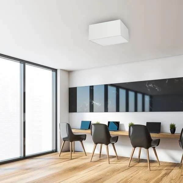 Plafonieră ALBION 3xE27/60W/230V