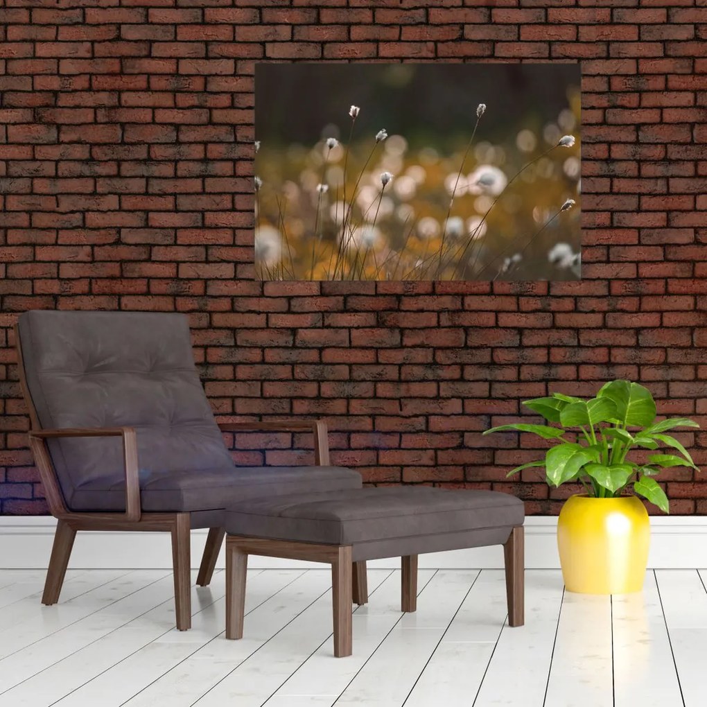 Tablou - Pajiște cu iarbă de cozonac N⁰2 (90x60 cm)