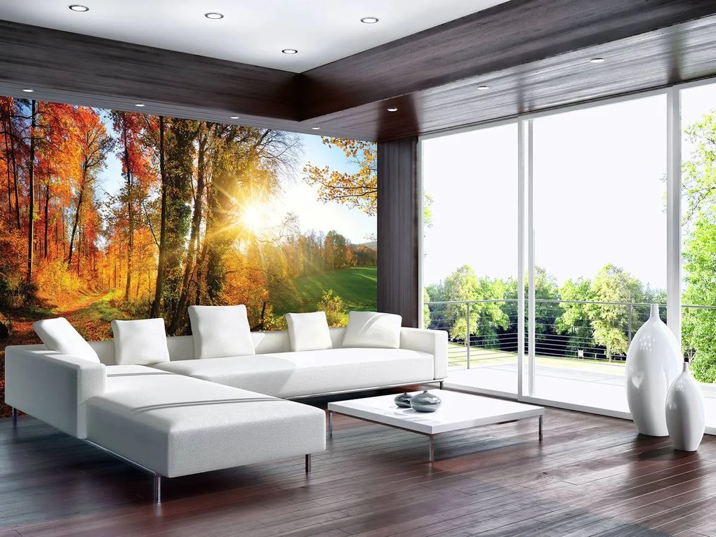 Fototapet - Pădure în toamnă (152,5x104 cm)