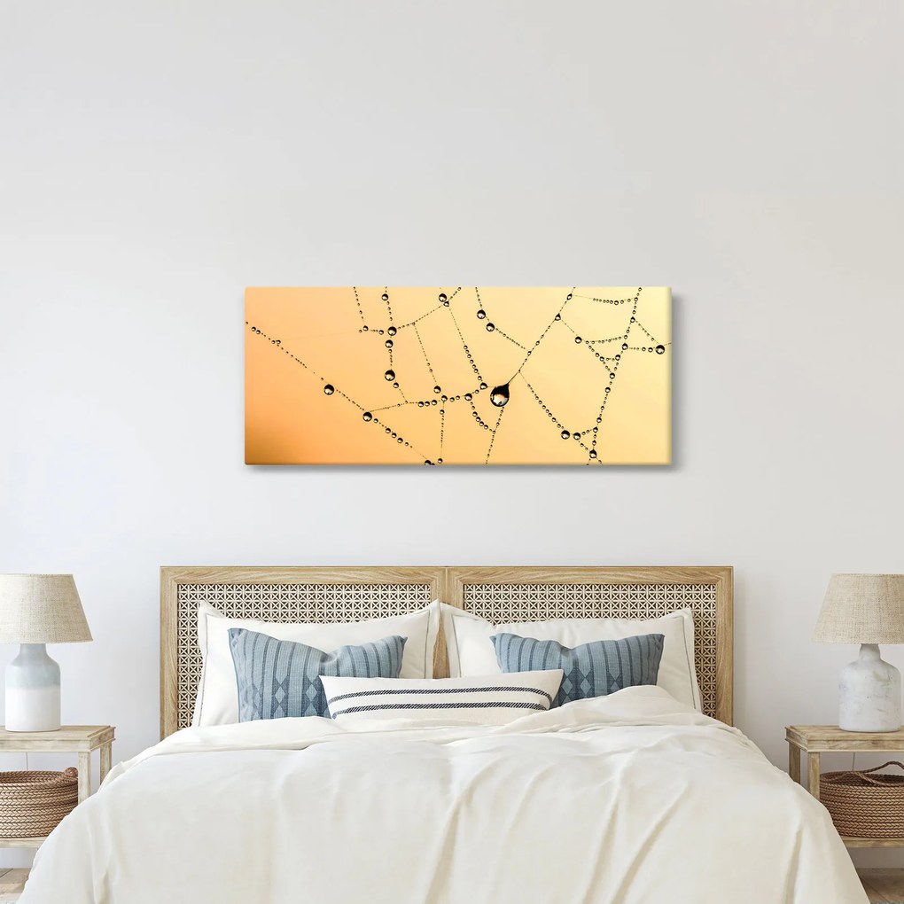 Tablou cu pânză de pâianjen cu rouă (120x50 cm)
