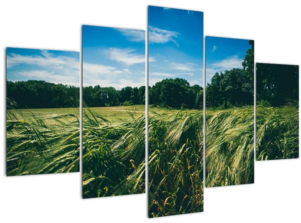 Tablou cu linca și pădure (150x105 cm)