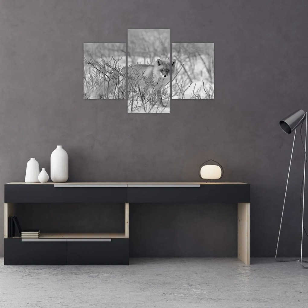 Tablou - Vulpe,alb-negru (90x60 cm)