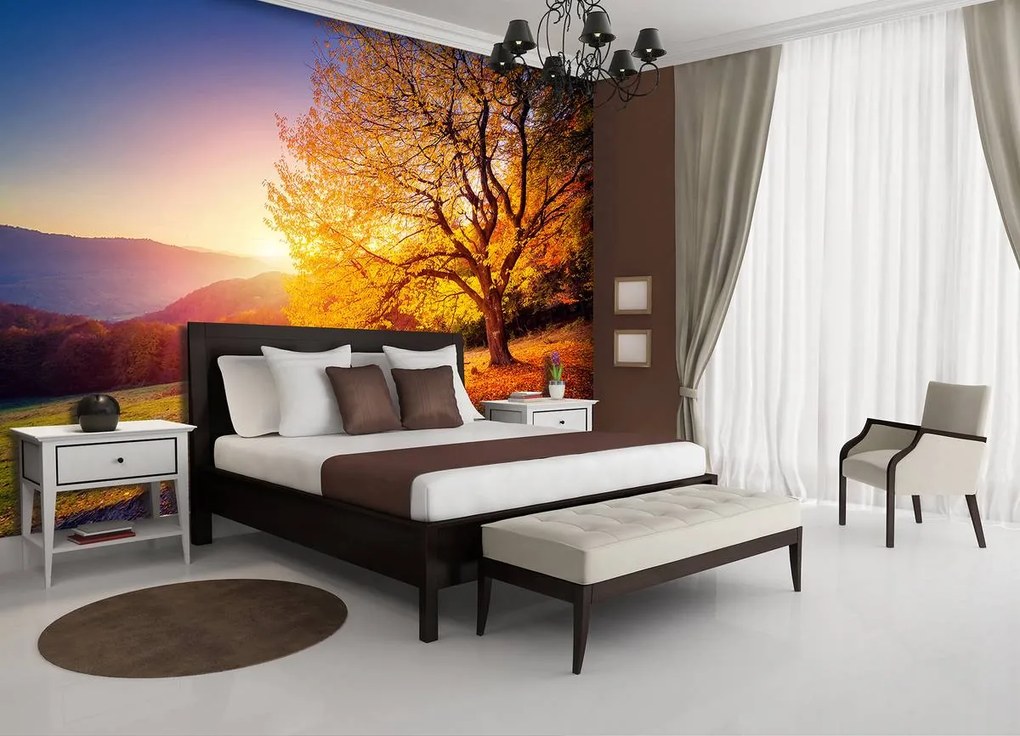 Fototapet - Toamna (152,5x104 cm)