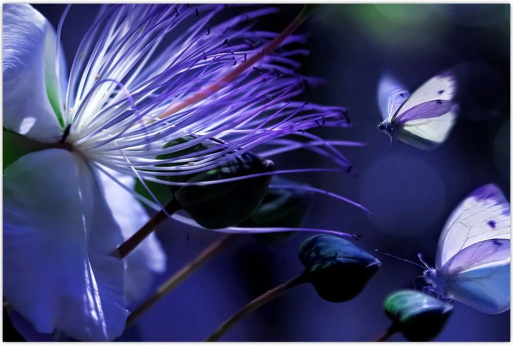 Tablou - Floare tropicală (90x60 cm)