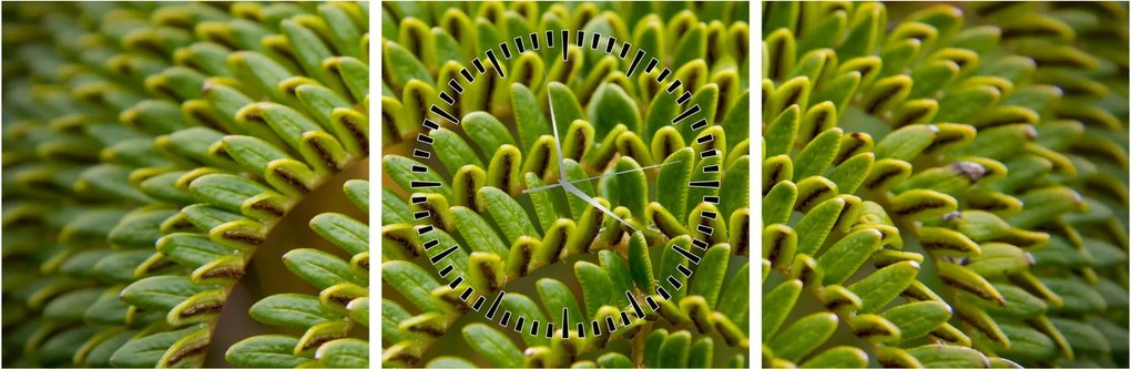 Tablou - Fern (cu ceas) (90x30 cm)