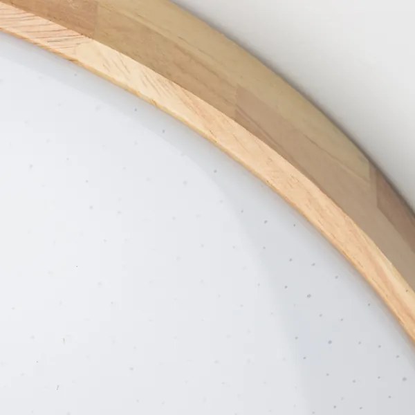 Brilagi - Plafonier LED reglabil PINE LED/24W/230V + telecomandă