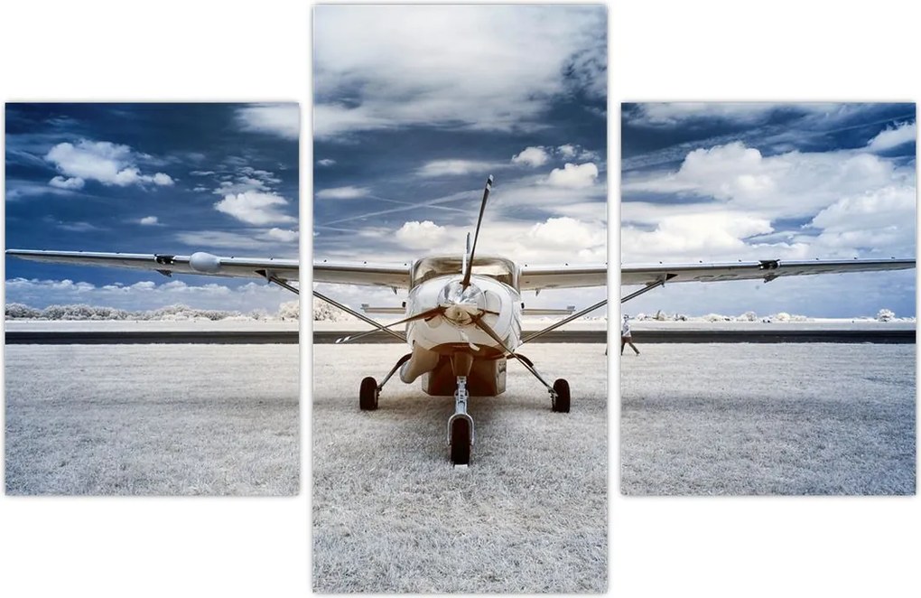 Tablou cu aeroplan cu motor (90x60 cm)