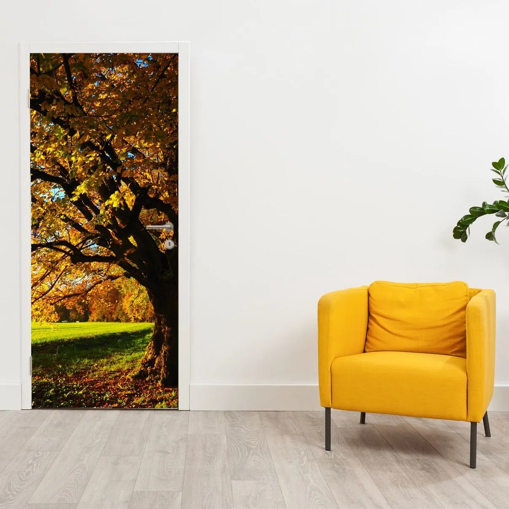 Fototapet pentru ușă - Toamna (95x205cm)