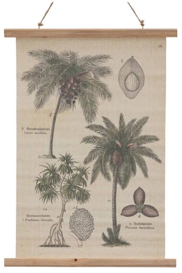 Tapiserie 50x70 cm Palm – Ixia