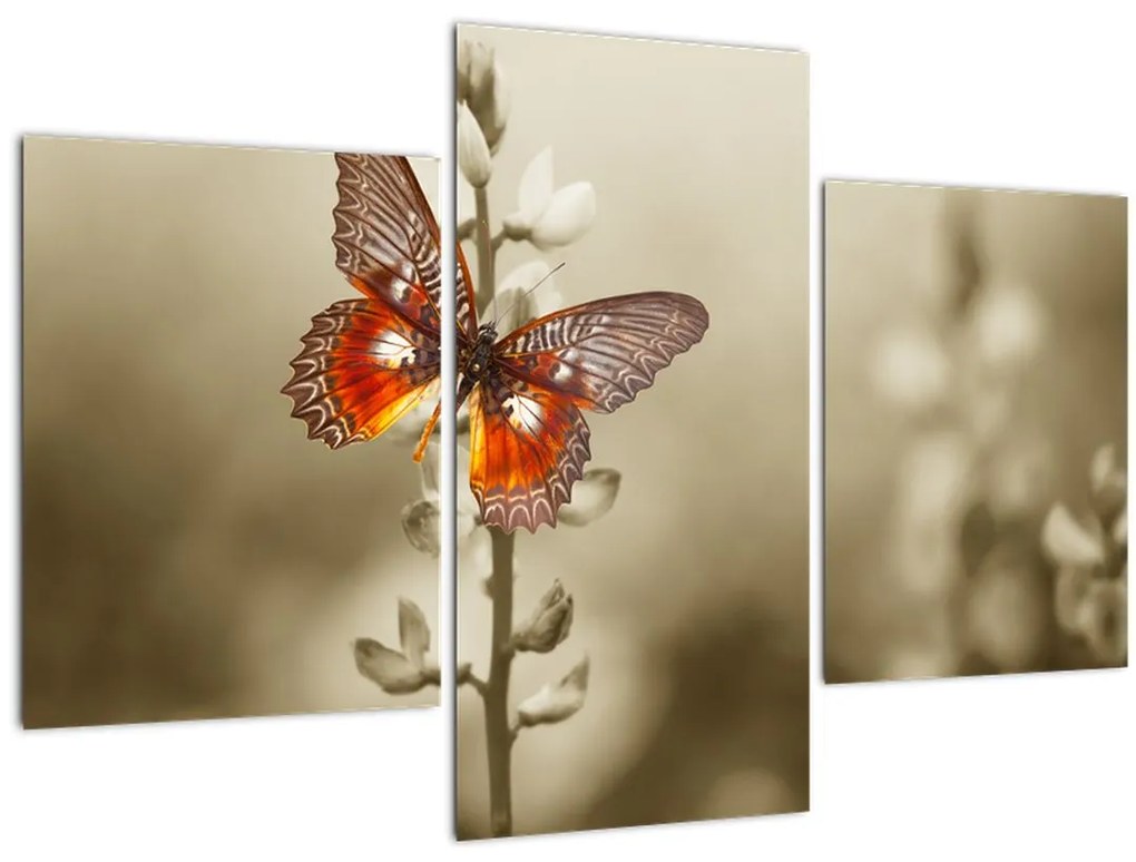 Tablou cu fluture (90x60 cm)