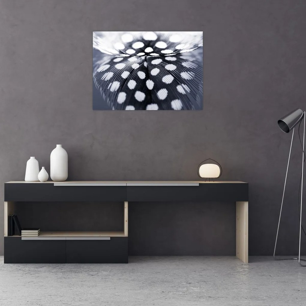 Tablou - Pană (70x50 cm)