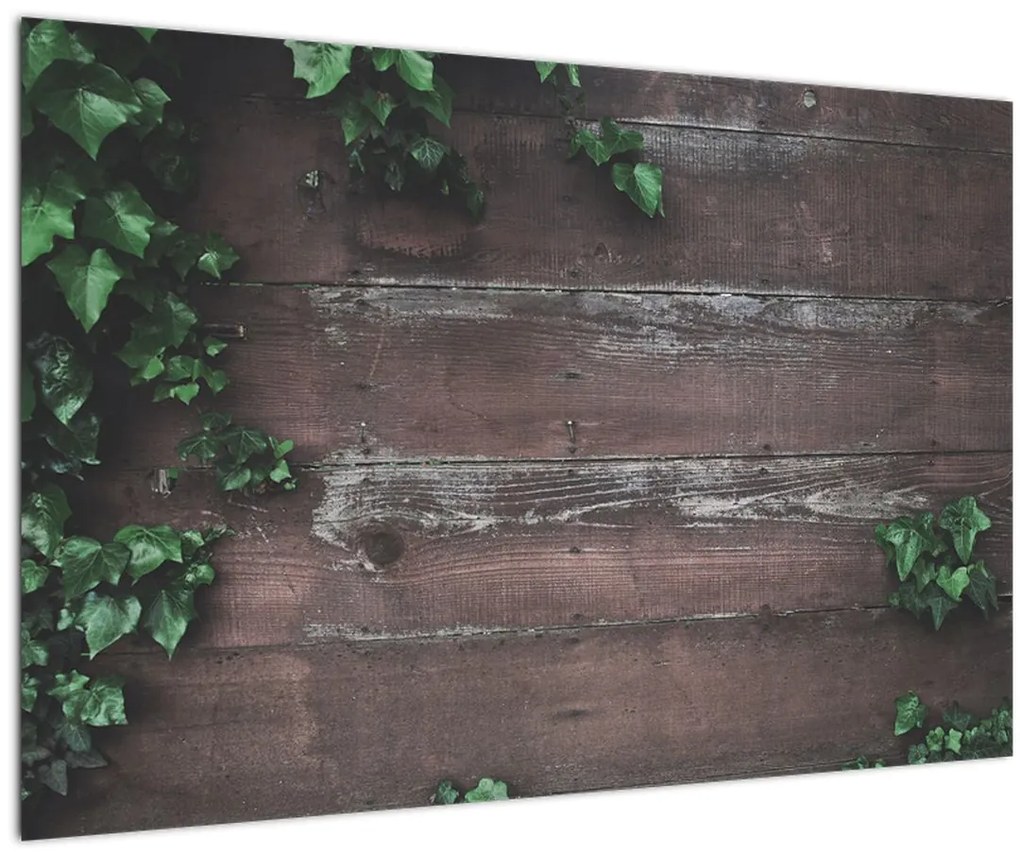 Tablou - Lederă (90x60 cm)
