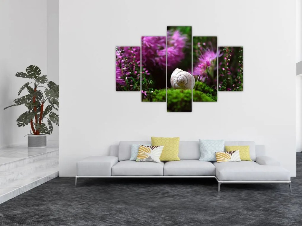 Tablou - Cochilie de melc (150x105 cm)