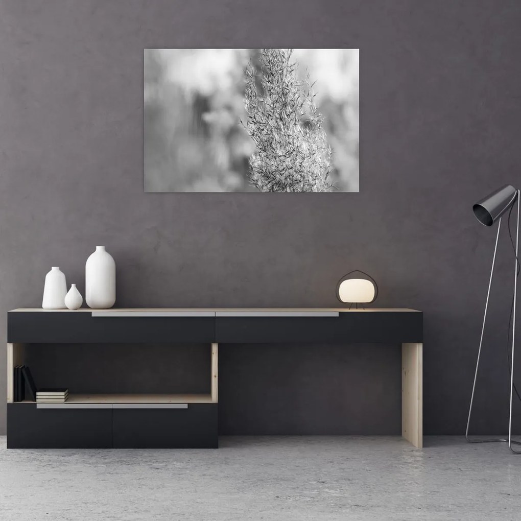 Tablou - Iarbă de pampas Boho (90x60 cm)