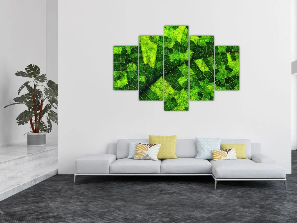 Tablou - Detaliu frunze (150x105 cm)