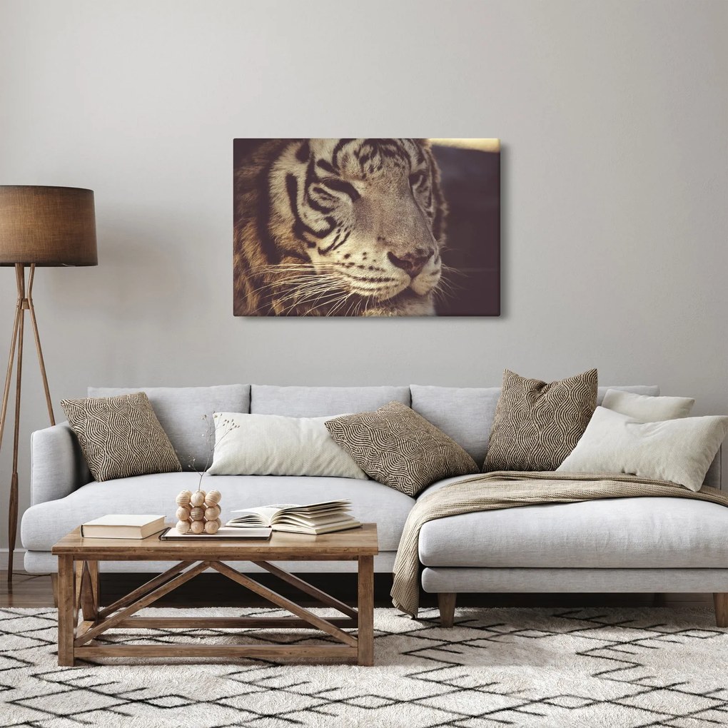 Tablou cu tigrul (90x60 cm)