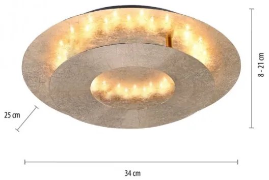 Plafonieră LED NEVIS LED/6W/230V aurie Paul Neuhaus 9011-12