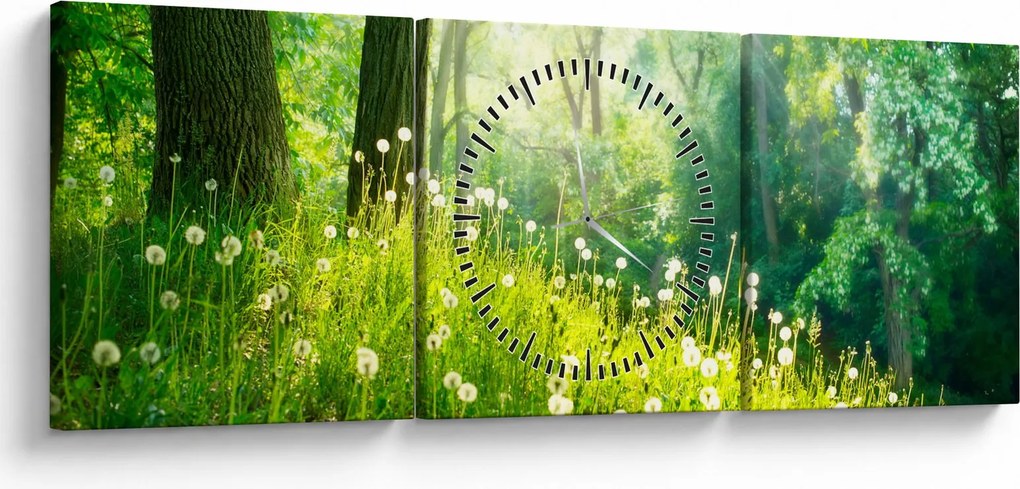 Tablou - Pajiște magică plină de păpădii (cu ceas) (90x30 cm)
