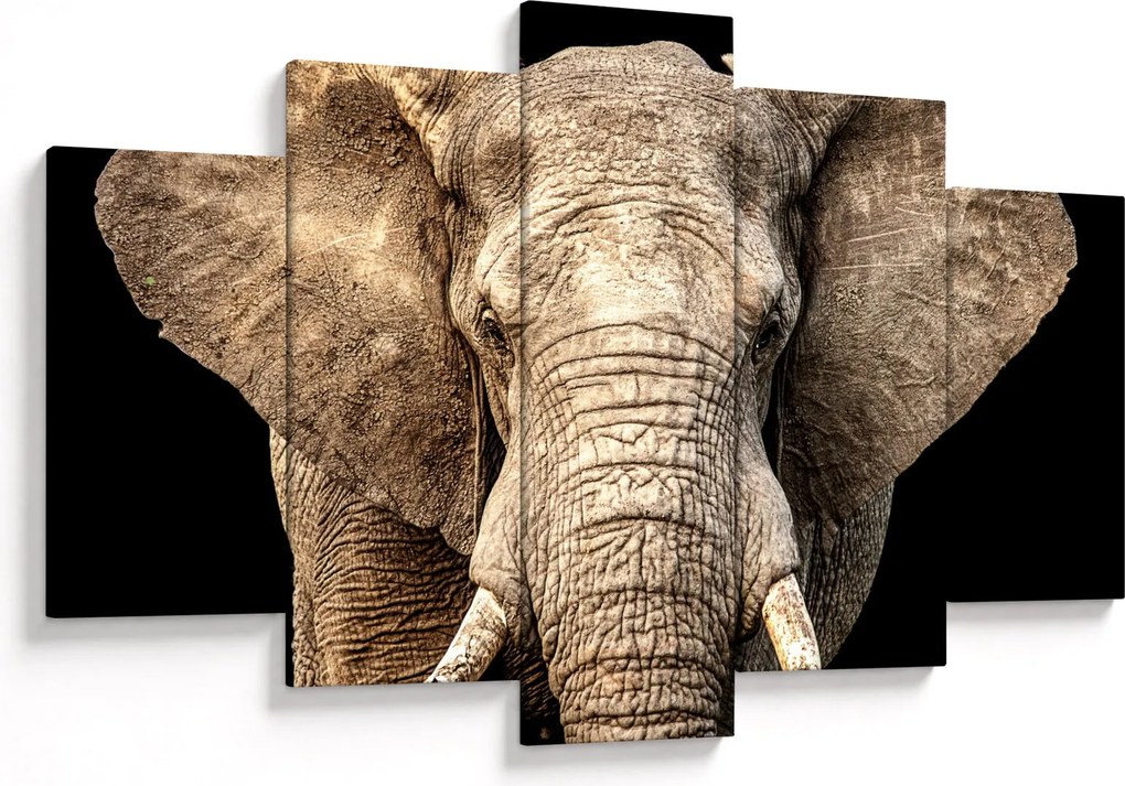 Tablou - Elefant african (150x105 cm)