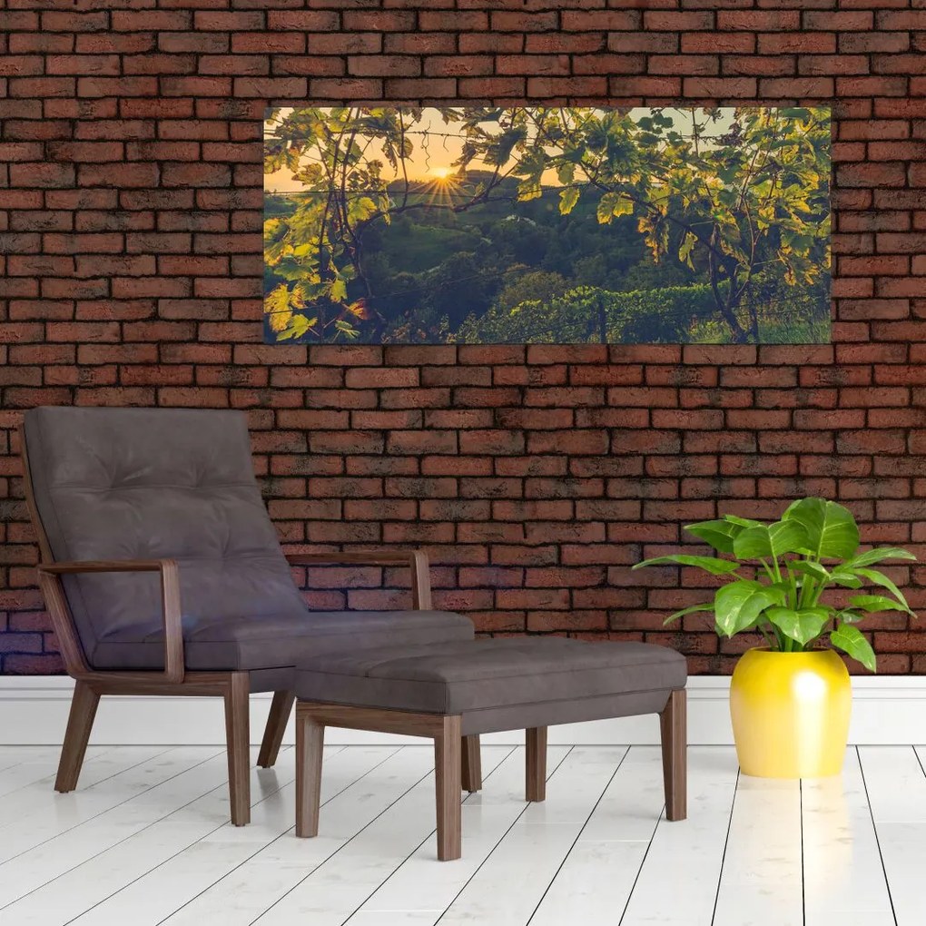 Tablou - Podgorii (120x50 cm)