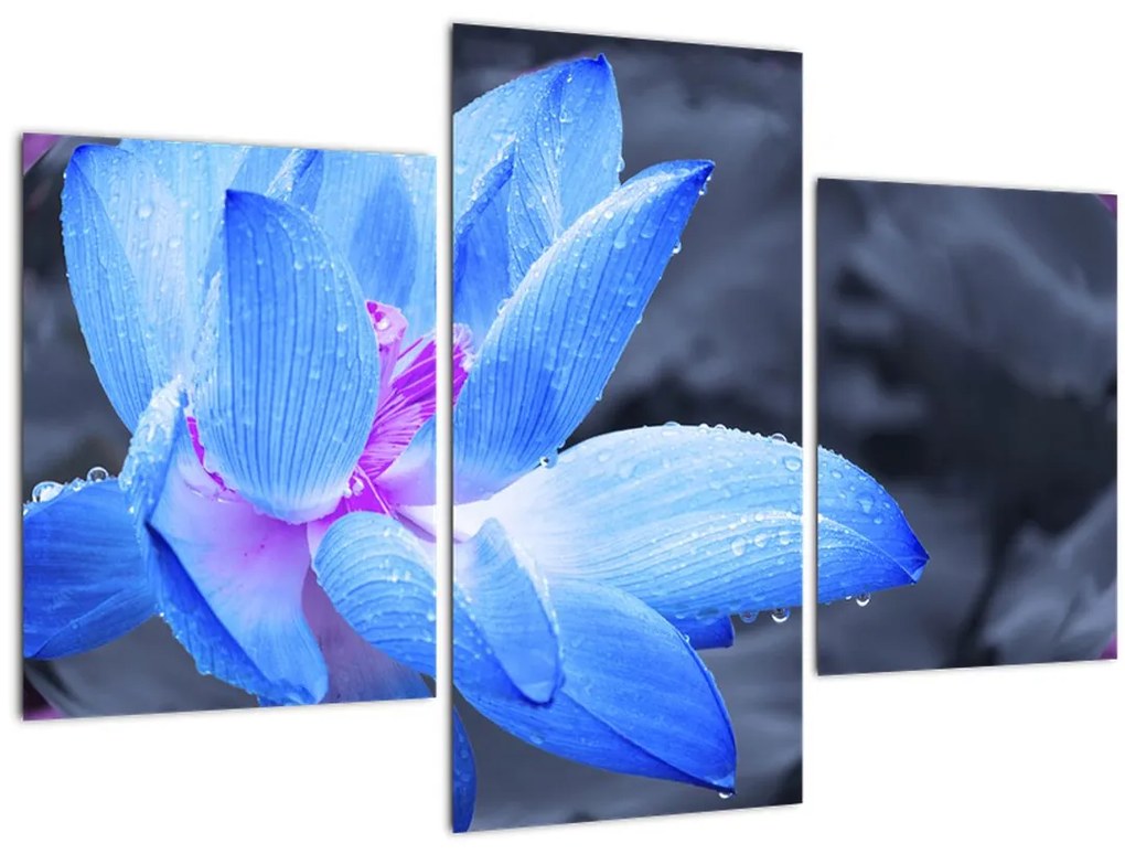 Tablou florilor în detailu (90x60 cm)