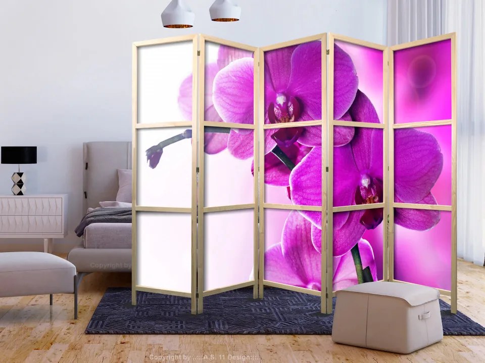 Paravan japonez - Violet Orchids II