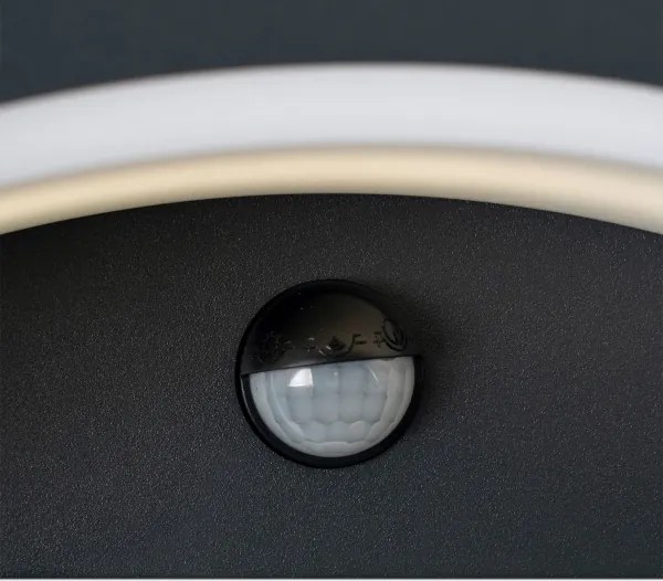 Aplică LED de exterior cu senzor Brilagi ARCELO LED/8W/230V IP54