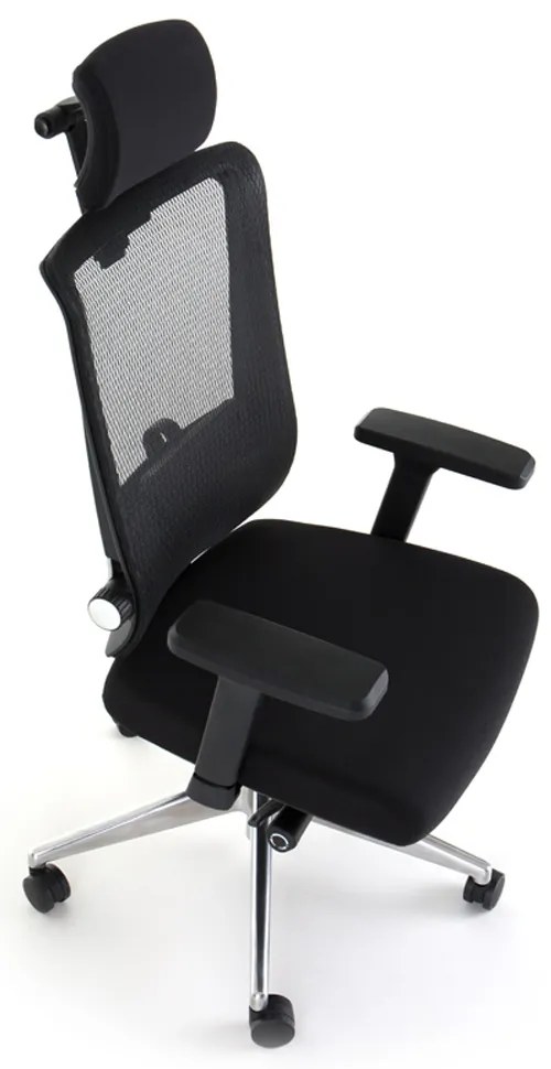 Scaun de birou Ergolux, negru