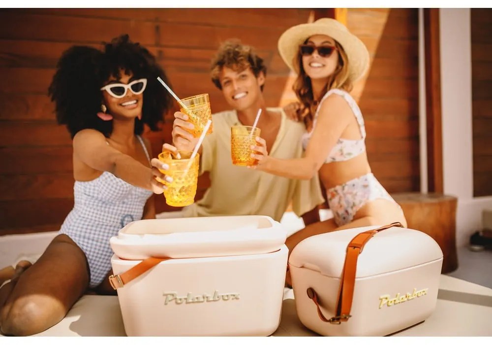 Cutie termoizolantă roz prăfuit 12 l Classic – Polarbox