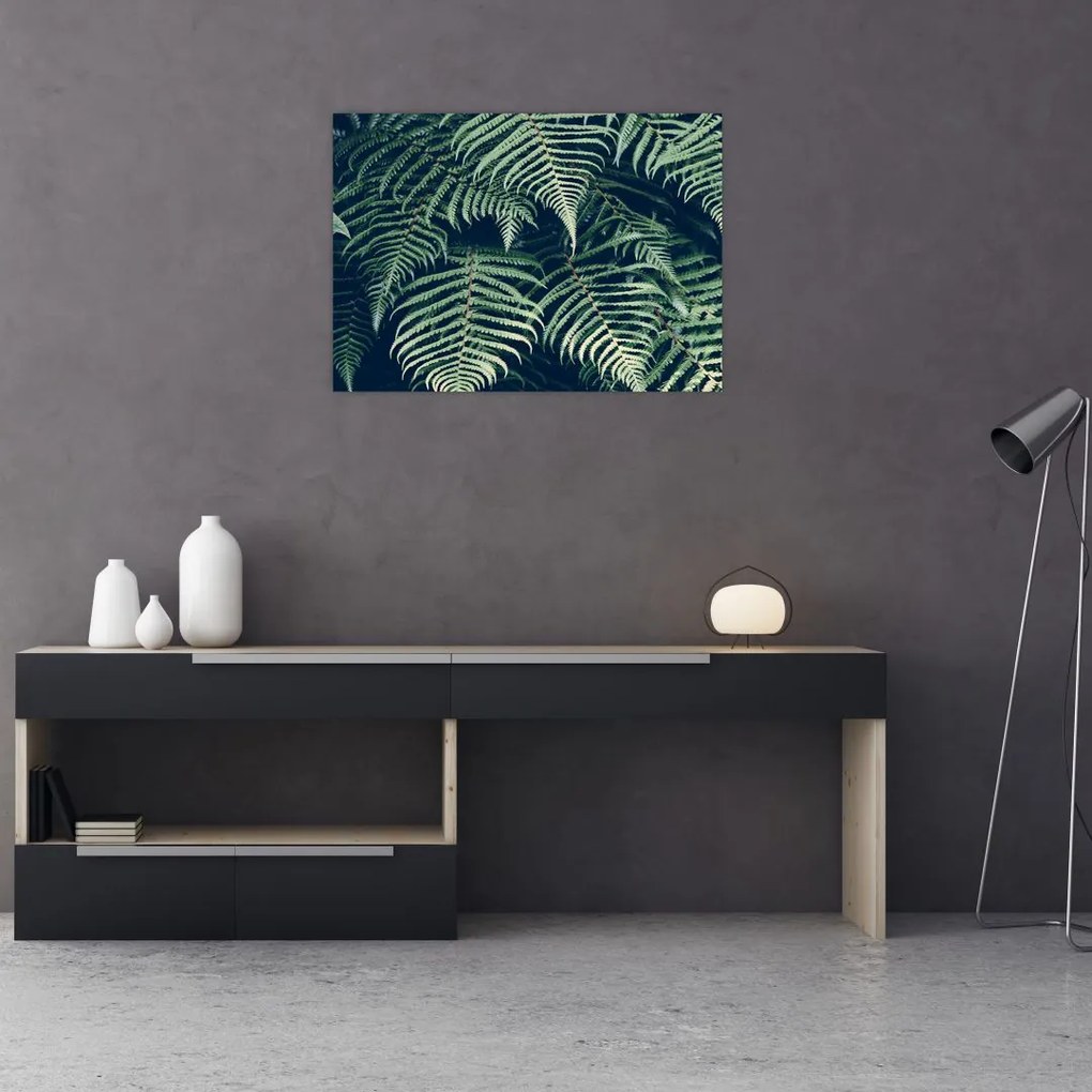 Tablou cu frunze de ferigă (70x50 cm)