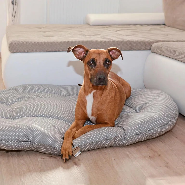 Pernă pentru câine PUNCTE mărime M - 120 x 70 cm