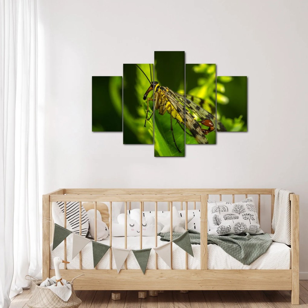 Tablou cu omide (150x105 cm)