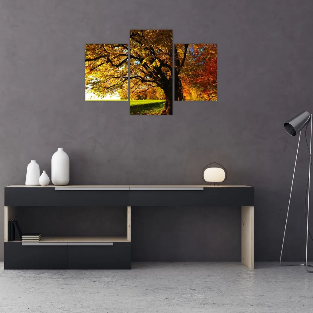 Tablou cu toamna (90x60 cm)