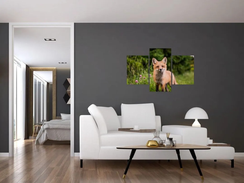 Tablou cu vulpe (90x60 cm)
