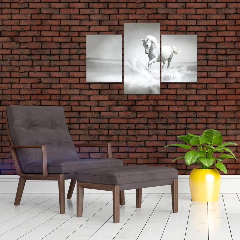 Tablou - Cal alb (90x60 cm)