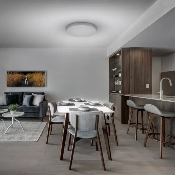 Plafonieră LED dimabilă Solight WO799 LED/50W/230V 3000-6000K + telecomandă