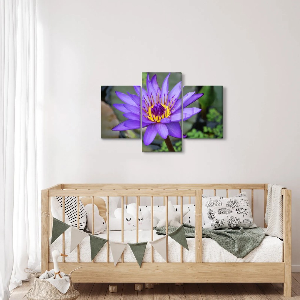 Tablou - Floare violet (90x60 cm)