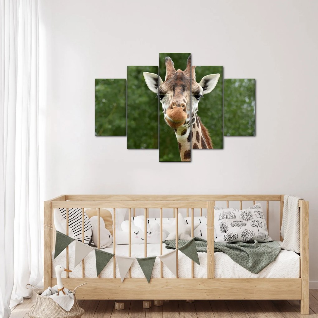 Tablou cu girafa (150x105 cm)
