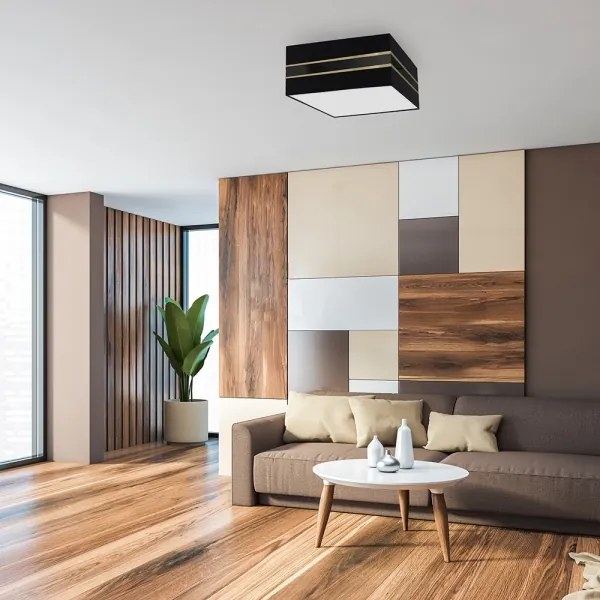 Plafonieră ULTIMO 2xE27/60W/230V negru