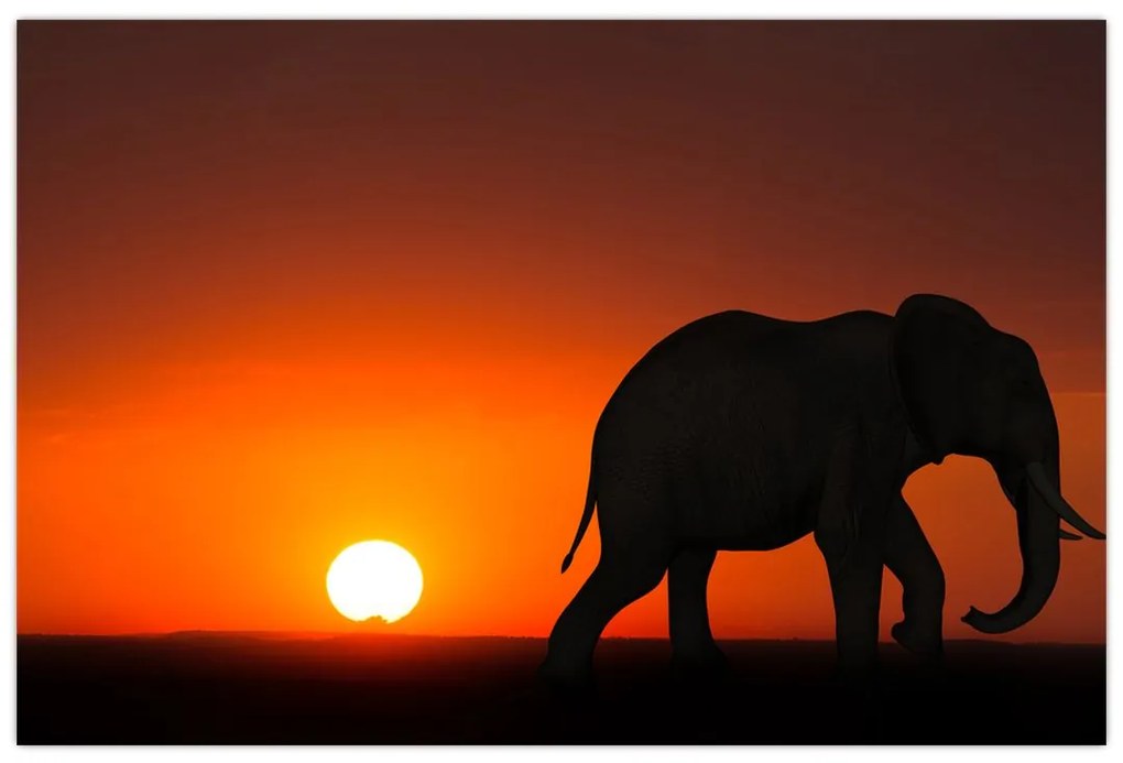 Tablou cu elefant în apus de soare (90x60 cm)