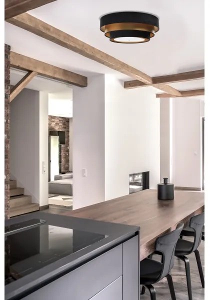 Lustr TRINITI 2xE27/60W/230V negru/auriu